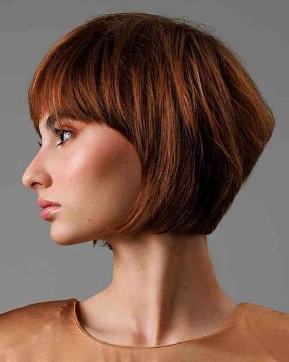 3. Rounded Brunette Crop with Brow-Skimming Fringe
